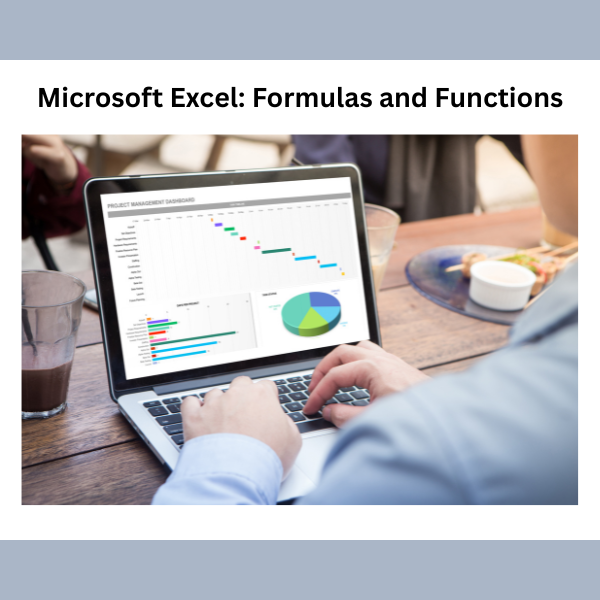 Microsoft Excel: Formulas and Functions